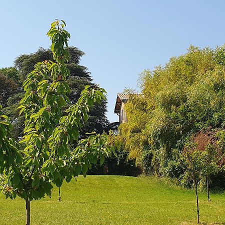 Douceurs Des Vignes Du Vivian Villa Denice ภายนอก รูปภาพ