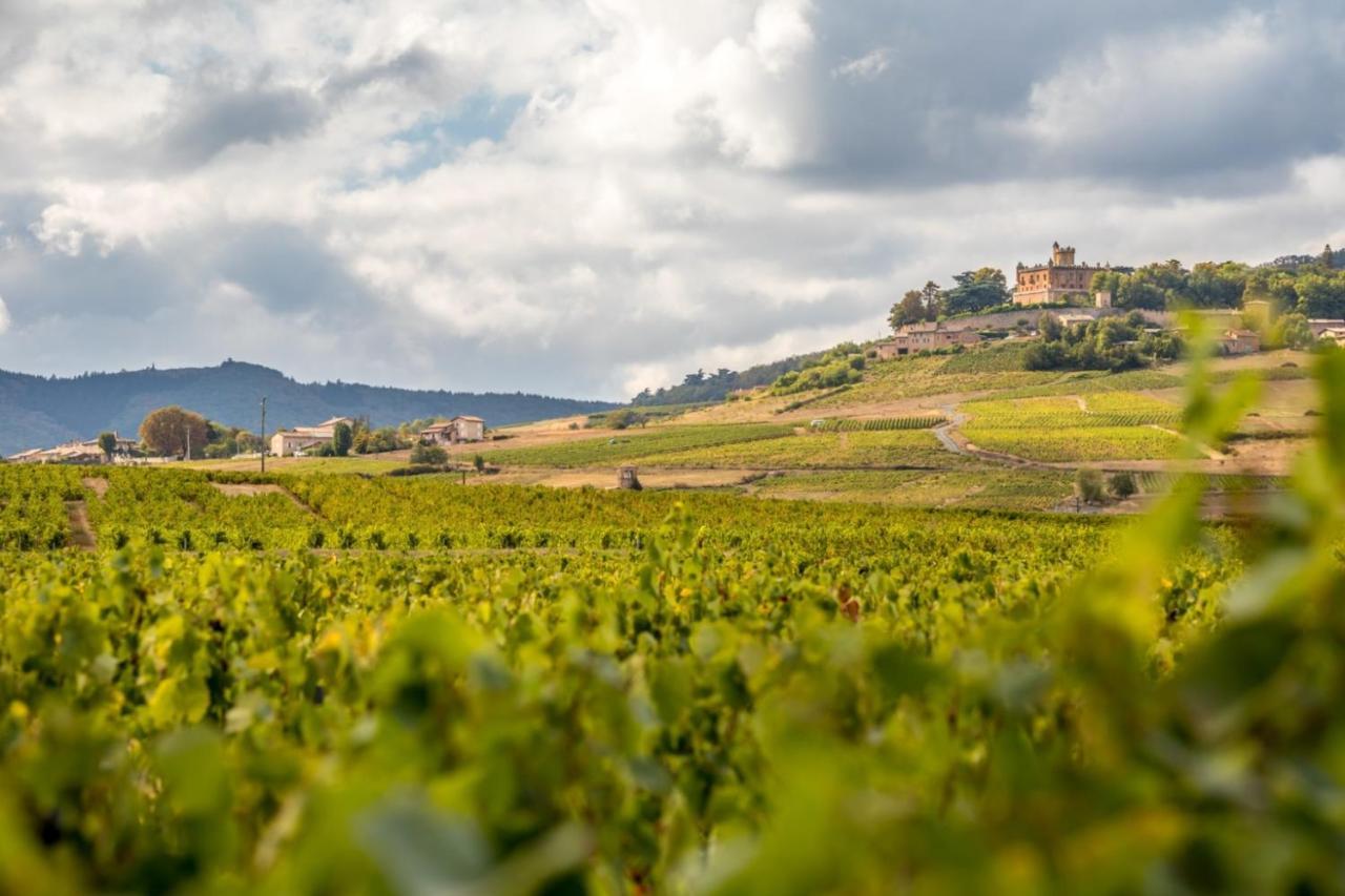 Douceurs Des Vignes Du Vivian Villa Denice ภายนอก รูปภาพ