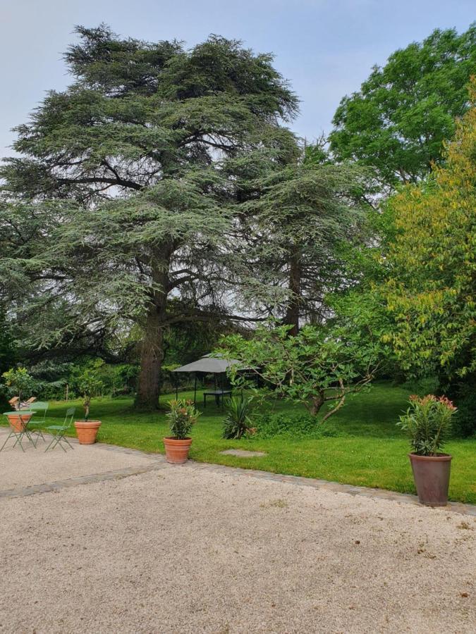 Douceurs Des Vignes Du Vivian Villa Denice ภายนอก รูปภาพ