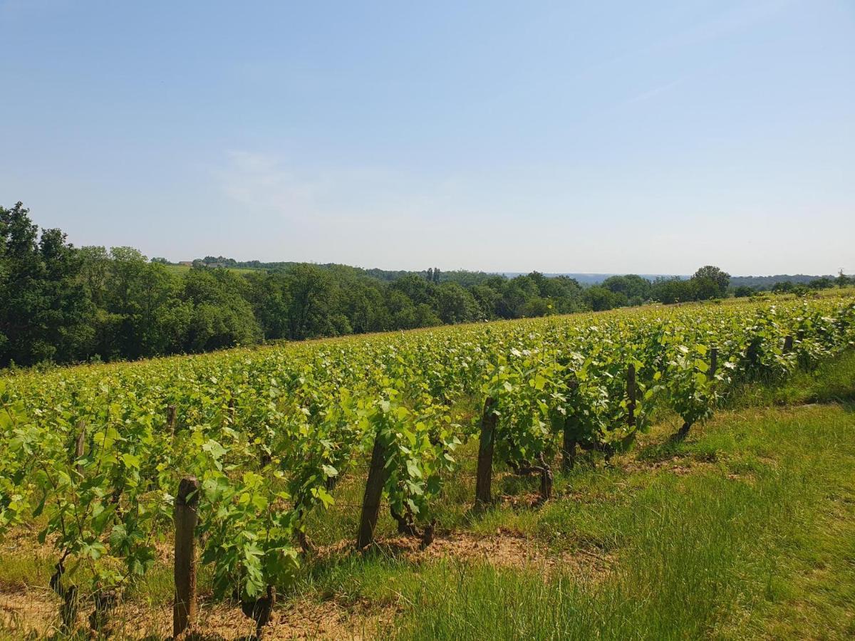 Douceurs Des Vignes Du Vivian Villa Denice ภายนอก รูปภาพ